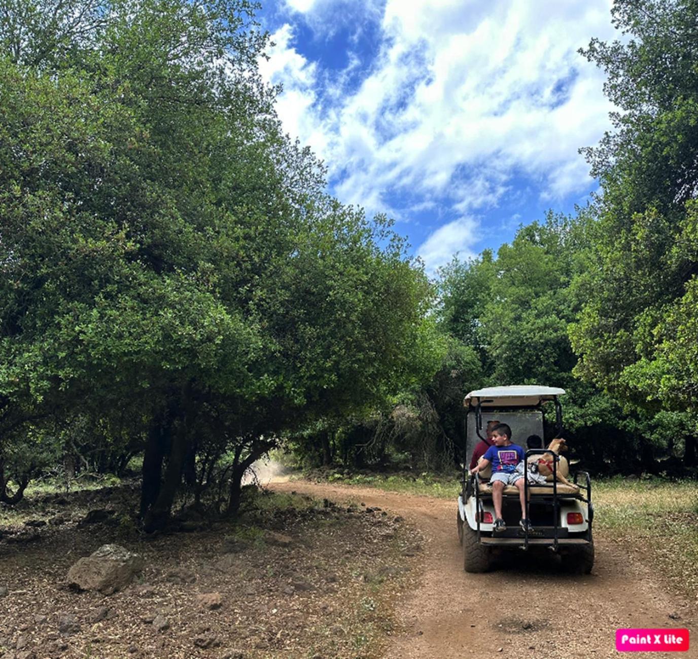 Yaar - כפר נופש יער Campsite Odem